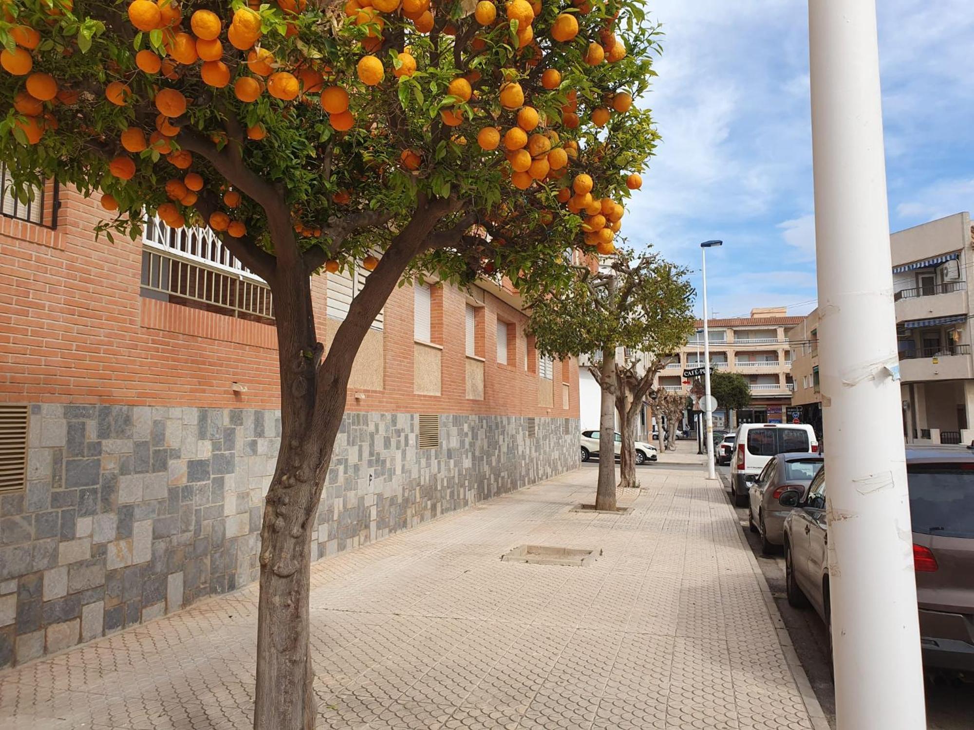 Ferienwohnung Casa Victor San Pedro del Pinatar Exterior foto
